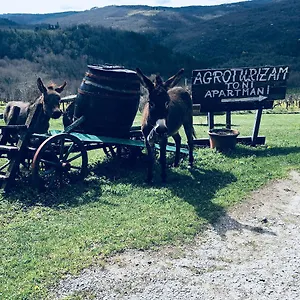 Agroturizam Toni Appartement Motovun
